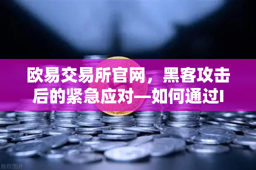 欧易交易所官网，黑客攻击后的紧急应对—如何通过Immunefi白帽计划保障资产安全