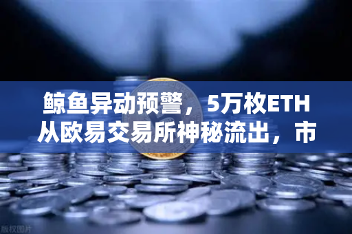 鲸鱼异动预警，5万枚ETH从欧易交易所神秘流出，市场风向要变了？