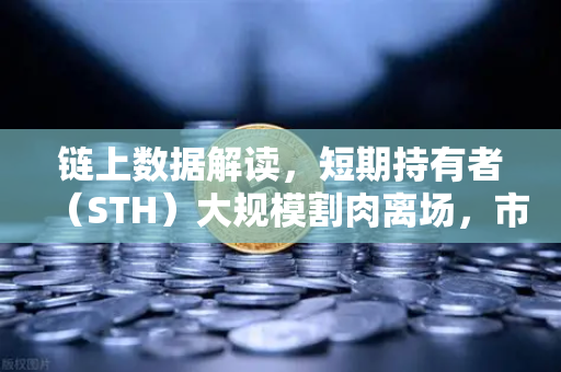 链上数据解读，短期持有者（STH）大规模割肉离场，市场底部信号已现？