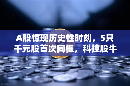 A股惊现历史性时刻，5只千元股首次同框，科技股牛市来了吗？-第1张图片-欧易交易所