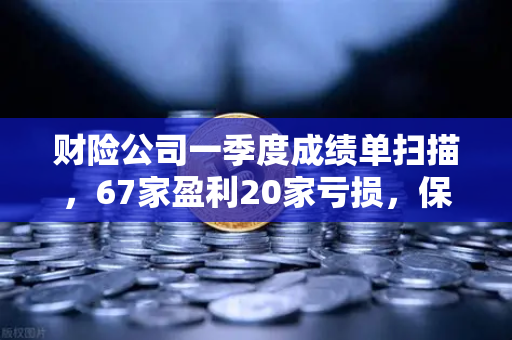 财险公司一季度成绩单扫描，67家盈利20家亏损，保险资金入市偏好解析