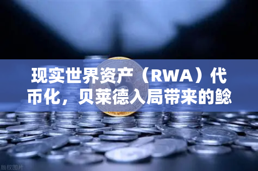 现实世界资产（RWA）代币化，贝莱德入局带来的鲶鱼效应