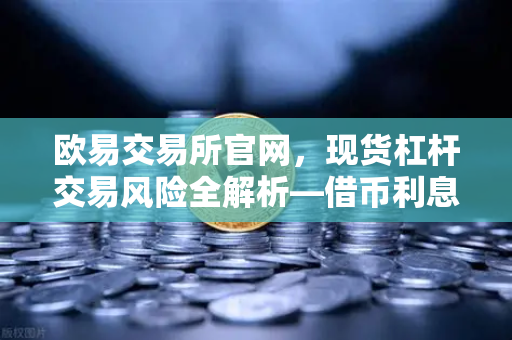 欧易交易所官网，现货杠杆交易风险全解析—借币利息如何计算？