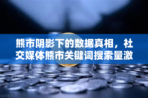 熊市阴影下的数据真相，社交媒体熊市关键词搜索量激增，市场情绪如何解读？