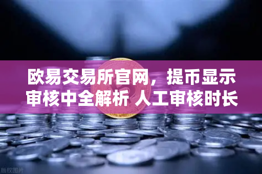 欧易交易所官网，提币显示审核中全解析 人工审核时长与应对指南