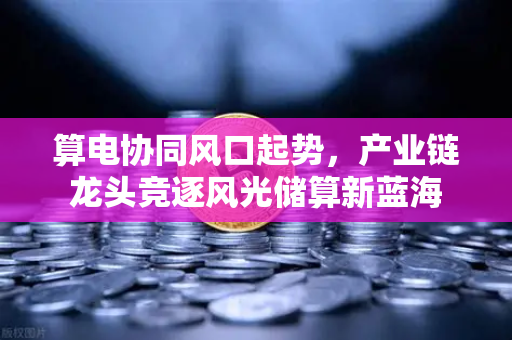 算电协同风口起势，产业链龙头竞逐风光储算新蓝海