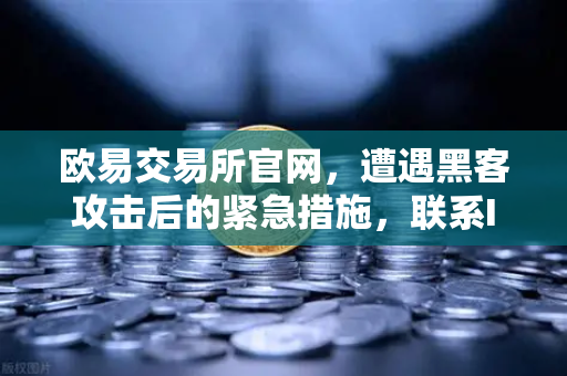欧易交易所官网，遭遇黑客攻击后的紧急措施，联系Immunefi寻求白帽帮助深度解析