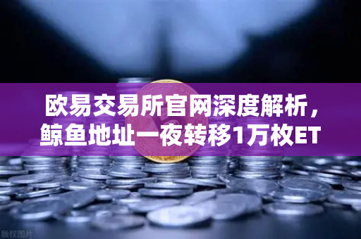 欧易交易所官网深度解析，鲸鱼地址一夜转移1万枚ETH，交易量异常预警引发市场震荡