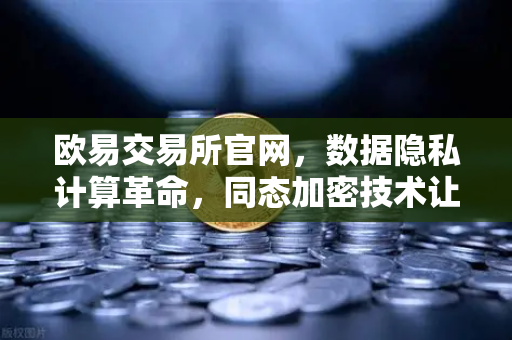 欧易交易所官网，数据隐私计算革命，同态加密技术让数据可用不可见