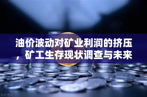 油价波动对矿业利润的挤压，矿工生存现状调查与未来出路