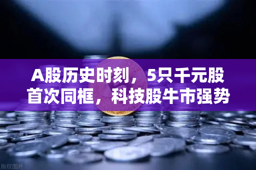 A股历史时刻，5只千元股首次同框，科技股牛市强势来袭