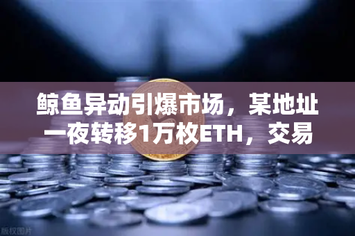 鲸鱼异动引爆市场，某地址一夜转移1万枚ETH，交易量预警信号解析