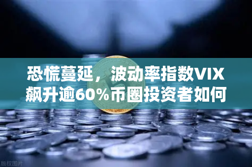 恐慌蔓延，波动率指数VIX飙升逾60%币圈投资者如何应对市场风暴？