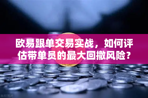 欧易跟单交易实战，如何评估带单员的最大回撤风险？深度解析与策略指南