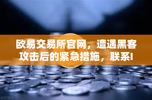 欧易交易所官网，遭遇黑客攻击后的紧急措施，联系Immunefi寻求白帽帮助