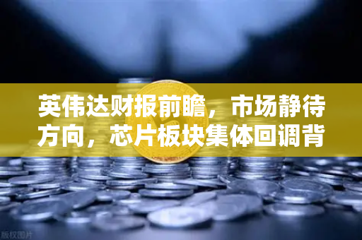 英伟达财报前瞻，市场静待方向，芯片板块集体回调背后的真相