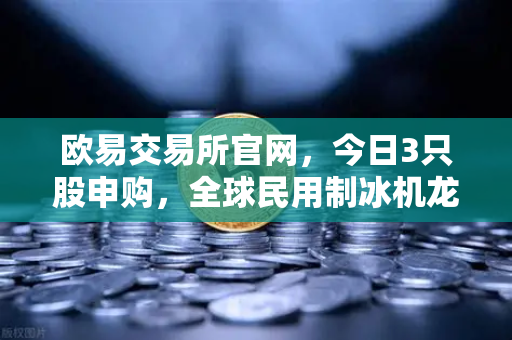 欧易交易所官网，今日3只股申购，全球民用制冰机龙头领衔，新股炒作逻辑全解析