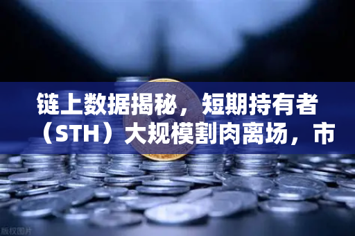 链上数据揭秘，短期持有者（STH）大规模割肉离场，市场转折信号已至？