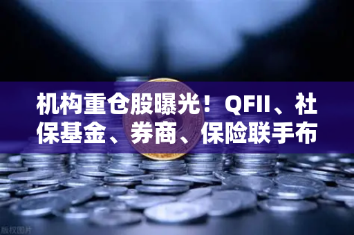 机构重仓股曝光！QFII、社保基金、券商、保险联手布局涉币概念股，释放什么信号？