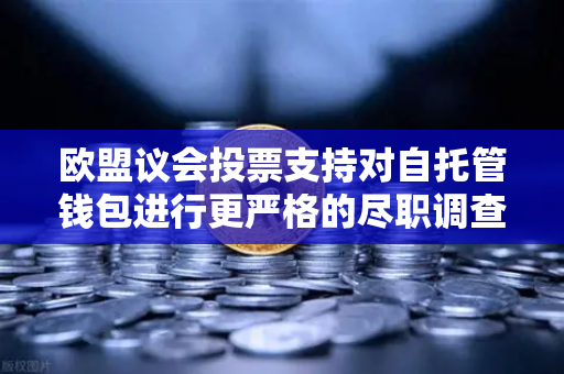 欧盟议会投票支持对自托管钱包进行更严格的尽职调查，加密世界迎来监管新纪元