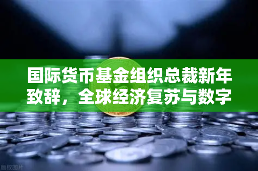 国际货币基金组织总裁新年致辞，全球经济复苏与数字金融新机遇