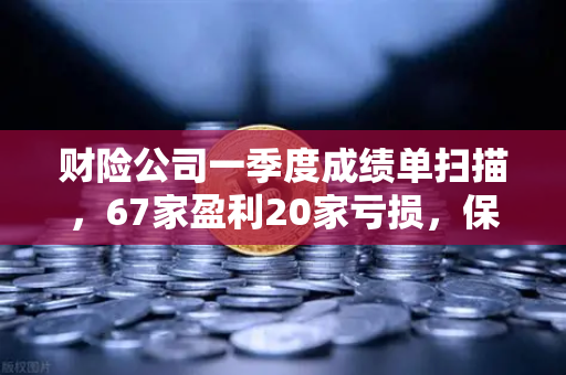 财险公司一季度成绩单扫描，67家盈利20家亏损，保险资金入市偏好深度解析