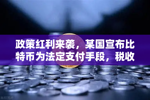 政策红利来袭，某国宣布比特币为法定支付手段，税收全免，如何通过欧易交易所官网布局数字资产？