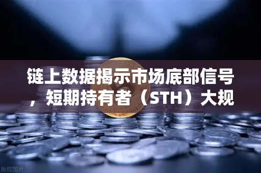 链上数据揭示市场底部信号，短期持有者（STH）大规模割肉离场
