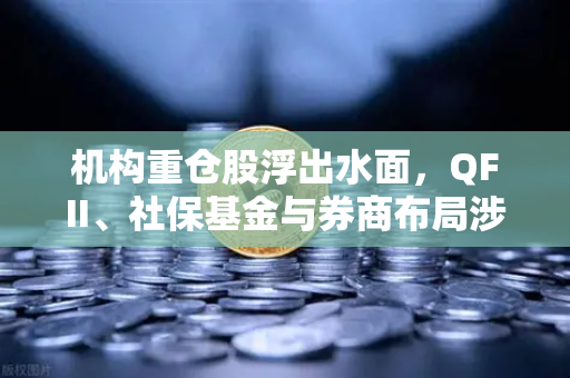 机构重仓股浮出水面，QFII、社保基金与券商布局涉币概念股新动向