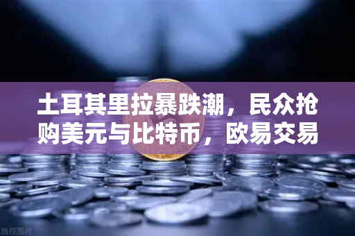 土耳其里拉暴跌潮，民众抢购美元与比特币，欧易交易所成避险新阵地