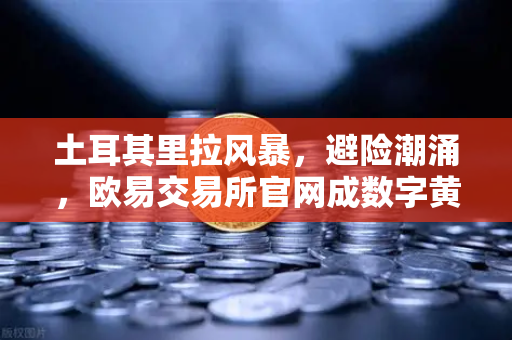 土耳其里拉风暴，避险潮涌，欧易交易所官网成数字黄金避风港