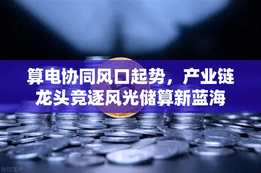 算电协同风口起势，产业链龙头竞逐风光储算新蓝海