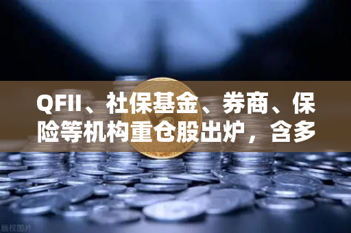 QFII、社保基金、券商、保险等机构重仓股出炉，含多家涉币概念股—机构资金新动向深度解读