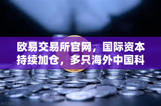 欧易交易所官网，国际资本持续加仓，多只海外中国科技ETF规模增长预示市场新机遇