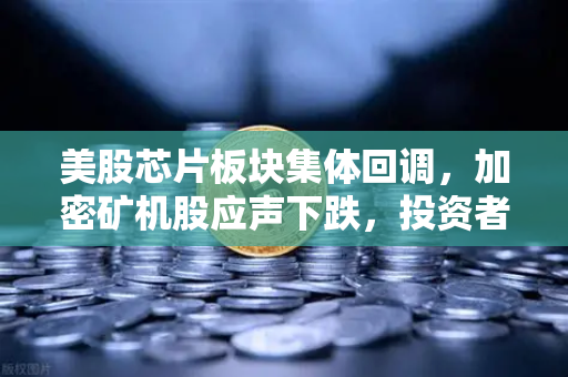 美股芯片板块集体回调，加密矿机股应声下跌，投资者在担心什么？