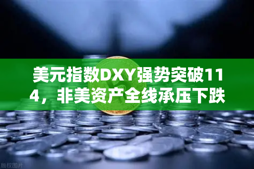 美元指数DXY强势突破114，非美资产全线承压下跌，投资者如何应对？