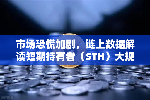 市场恐慌加剧，链上数据解读短期持有者（STH）大规模割肉离场