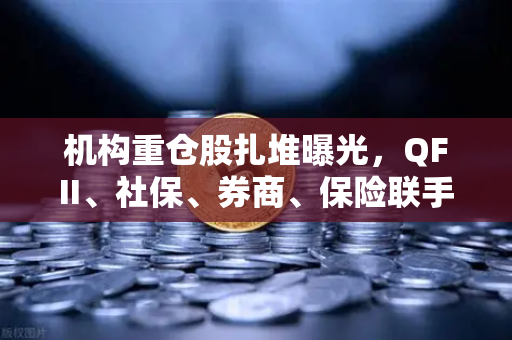 机构重仓股扎堆曝光，QFII、社保、券商、保险联手布局，多只涉币概念股浮出水面
