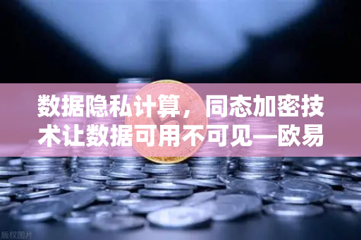 数据隐私计算，同态加密技术让数据可用不可见—欧易交易所官网的技术革新与实践