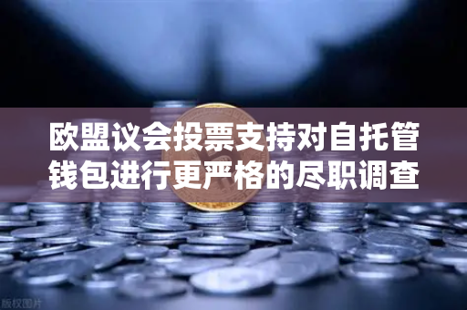 欧盟议会投票支持对自托管钱包进行更严格的尽职调查，加密隐私与监管的博弈