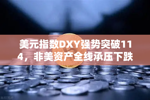 美元指数DXY强势突破114，非美资产全线承压下跌，全球金融市场动荡下的资产配置策略