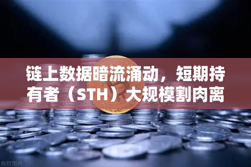 链上数据暗流涌动，短期持有者（STH）大规模割肉离场，市场底部信号已现？