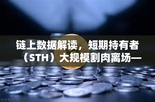 链上数据解读，短期持有者（STH）大规模割肉离场—市场底部信号还是新一轮下跌前兆？