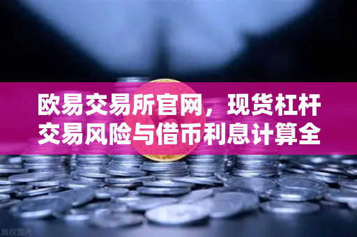 欧易交易所官网，现货杠杆交易风险与借币利息计算全解析