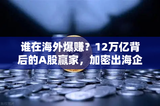 谁在海外爆赚？12万亿背后的A股赢家，加密出海企业业绩揭秘