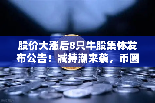 股价大涨后8只牛股集体发布公告！减持潮来袭，币圈大佬会效仿吗？深度解析与市场前瞻