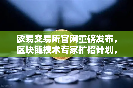 欧易交易所官网重磅发布，区块链技术专家扩招计划，薪资对标硅谷引领行业人才风向
