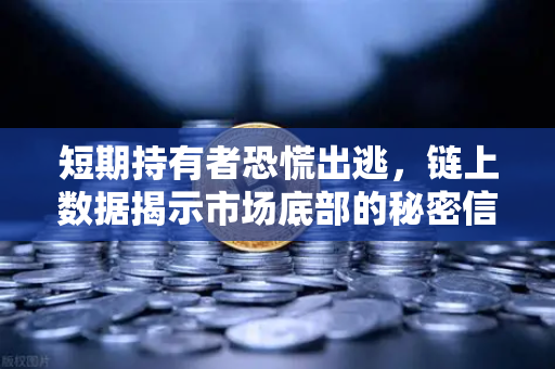 短期持有者恐慌出逃，链上数据揭示市场底部的秘密信号