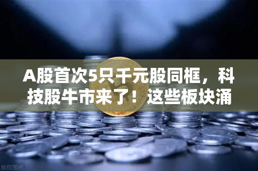 A股首次5只千元股同框，科技股牛市来了！这些板块涌现最多