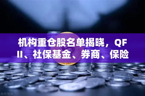 机构重仓股名单揭晓，QFII、社保基金、券商、保险扎堆涉币概念股